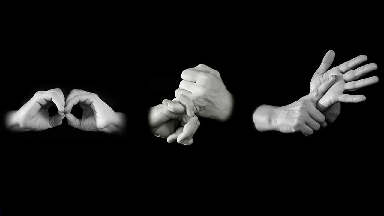 Ngôn ngữ Ký hiệu dành cho Giáo viên và Nhân viên Hỗ trợ